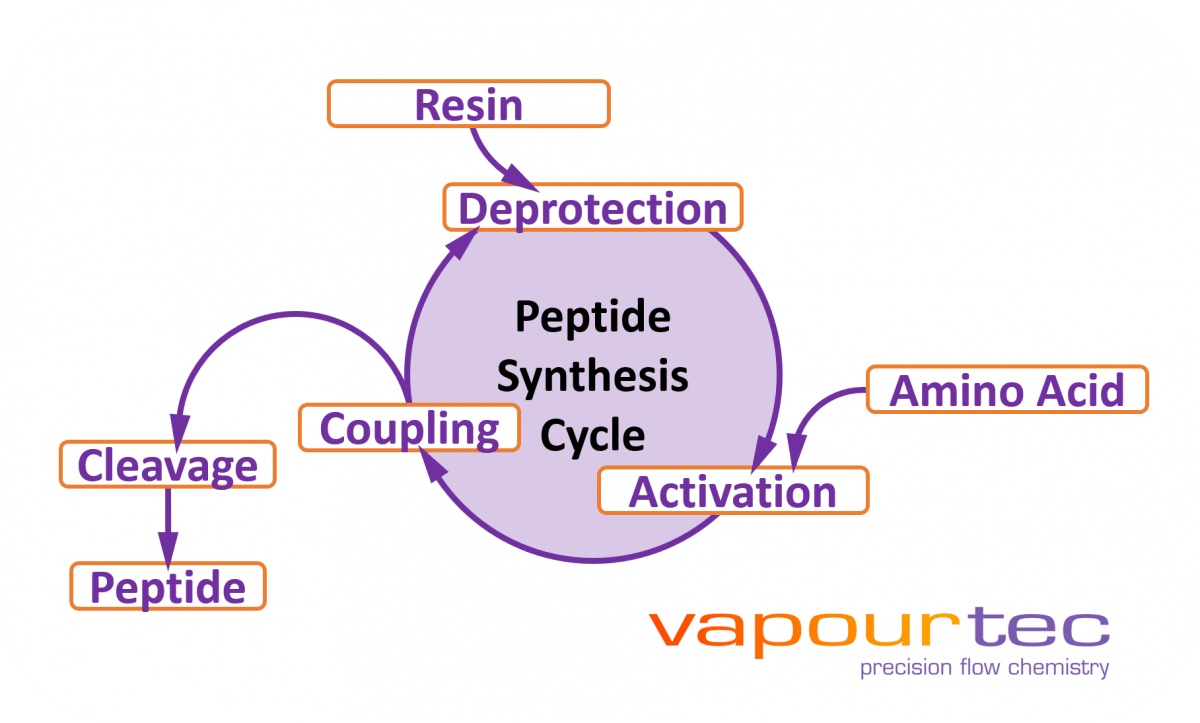 Peptide synthesis and flow chemistry